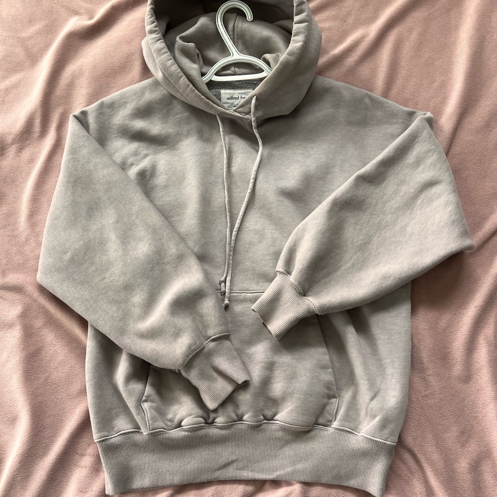 Aritzia oversized hoodie